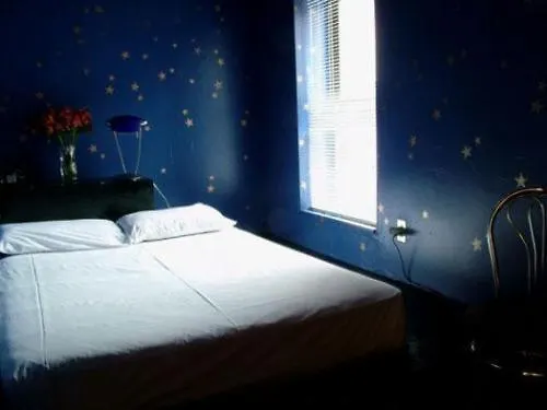 Chelsea Star Hotel Nueva York Estados Unidos
